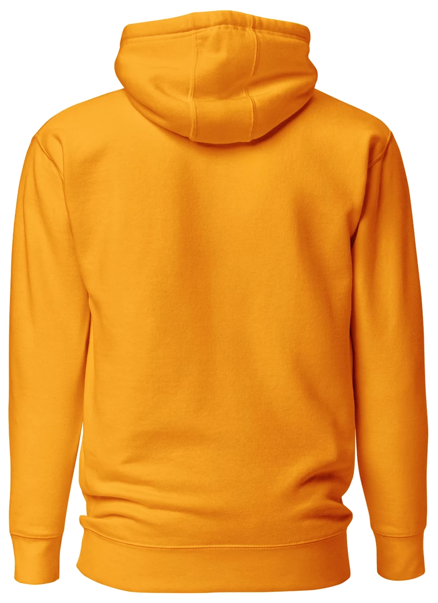 Architect Greatness Hoodie, the back