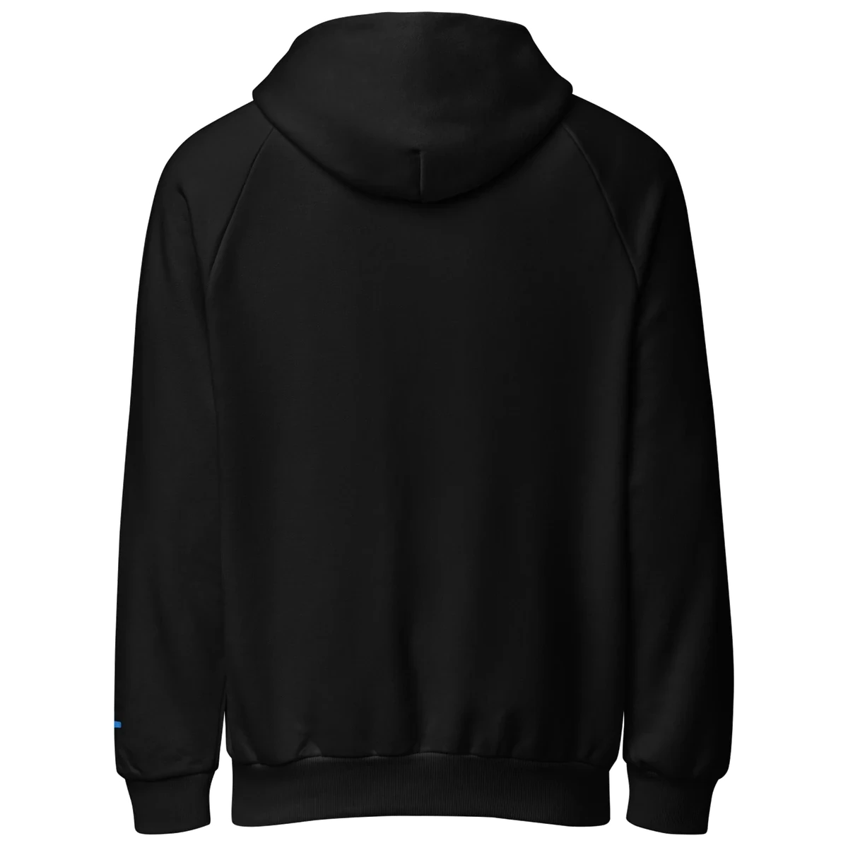 The Varsity Mirror Hoodie, the back